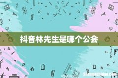 抖音林先生是哪个公会