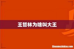 王哲林为啥叫大王