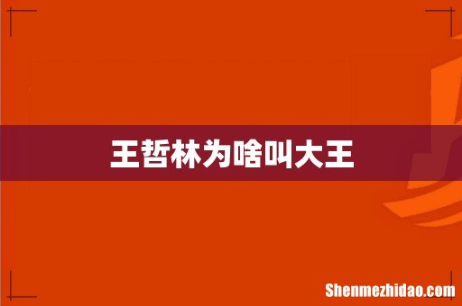 王哲林为啥叫大王
