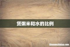 煲粥米和水的比例