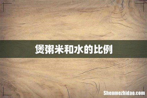 煲粥米和水的比例