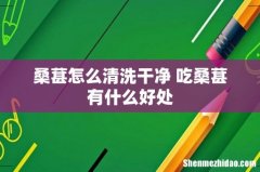 桑葚怎么清洗干净 吃桑葚有什么好处