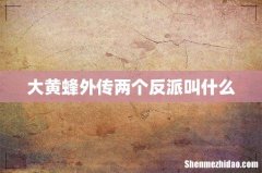 大黄蜂外传两个反派叫什么