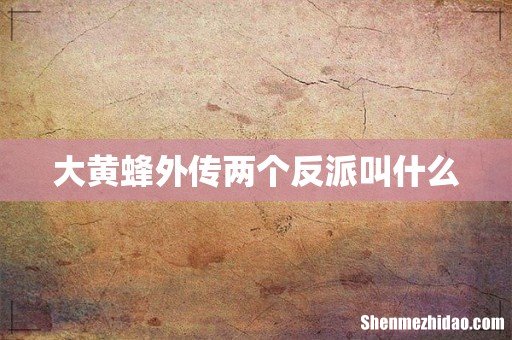 大黄蜂外传两个反派叫什么