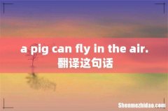 a pig can fly in the air. 翻译这句话