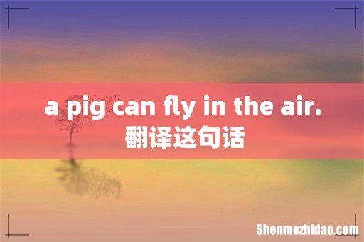 a pig can fly in the air. 翻译这句话