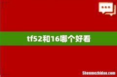 tf52和16哪个好看