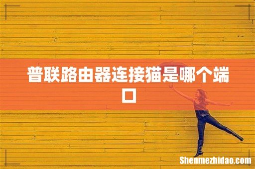 普联路由器连接猫是哪个端口