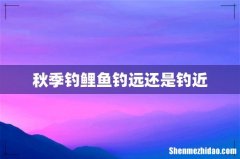 秋季钓鲤鱼钓远还是钓近