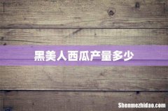 黑美人西瓜产量多少