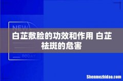 白芷敷脸的功效和作用 白芷祛斑的危害