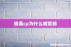 极禹cp为什么被官拆
