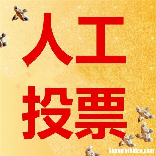 人工微信号投票怎么弄的价格多少钱一票 微信投票价格低是人工拉票吗?最低的人工投票多少钱?