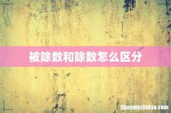 被除数和除数怎么区分