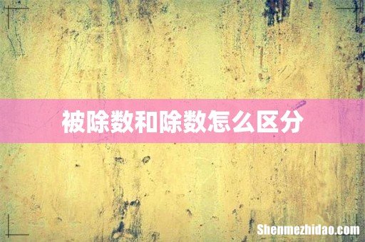 被除数和除数怎么区分