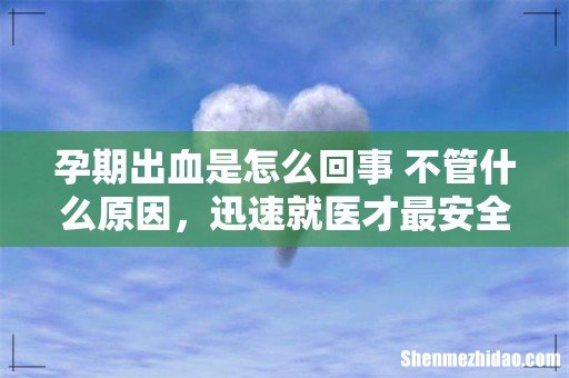 孕期出血是怎么回事 不管什么原因,迅速就医才最安全!