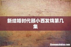 新结婚时代顾小西发烧第几集