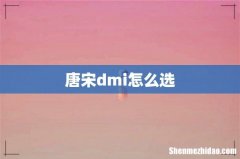 唐宋dmi怎么选