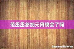 范丞丞参加元宵晚会了吗