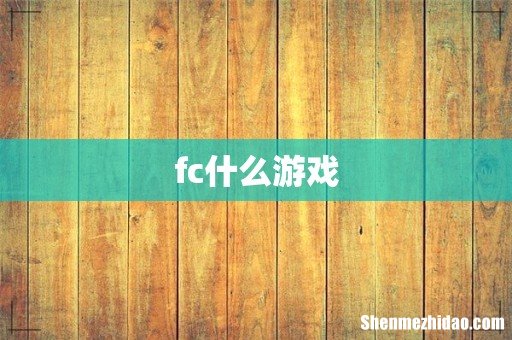 fc什么游戏