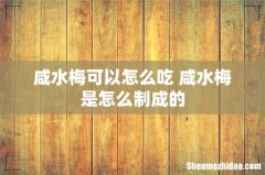 咸水梅可以怎么吃 咸水梅是怎么制成的
