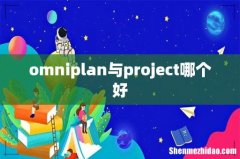 omniplan与project哪个好
