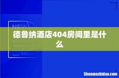 德鲁纳酒店404房间里是什么