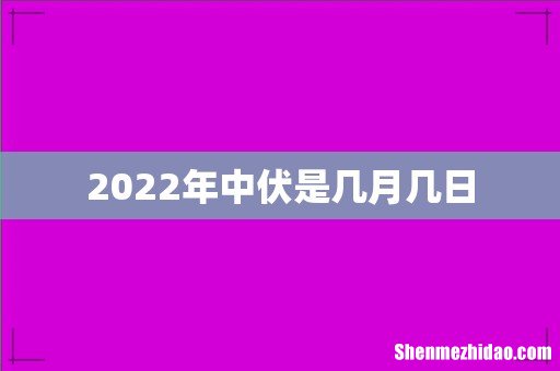 2022年中伏是几月几日