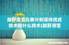 越野滑雪有哪些技术？什么算是犯规？ 越野滑雪比赛分别是传统式技术和什么技术