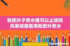 枇杷叶子煮水喝可以止咳吗 风寒咳嗽能用枇杷叶煮水喝吗