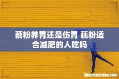 藕粉养胃还是伤胃 藕粉适合减肥的人吃吗
