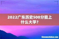 2022广东历史500分能上什么大学？