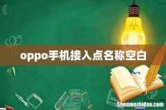 oppo手机接入点名称空白
