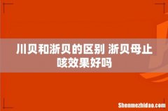 川贝和浙贝的区别 浙贝母止咳效果好吗