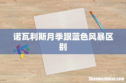 诺瓦利斯月季跟蓝色风暴区别