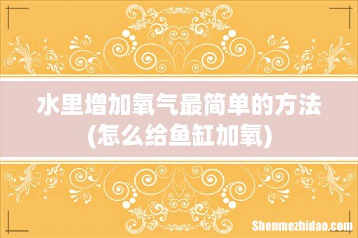 怎么给鱼缸加氧 水里增加氧气最简单的方法