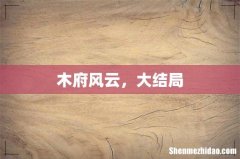 木府风云，大结局