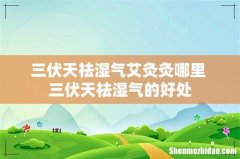 三伏天祛湿气艾灸灸哪里 三伏天祛湿气的好处