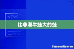 比非洲牛蛙大的蛙