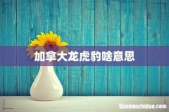 加拿大龙虎豹啥意思