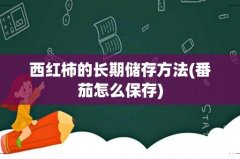 番茄怎么保存 西红柿的长期储存方法