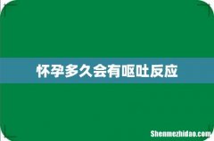 怀孕多久会有呕吐反应