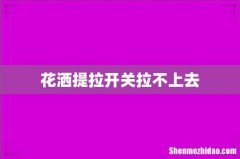 花洒提拉开关拉不上去