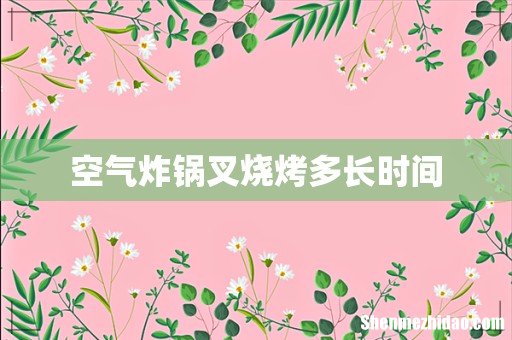 空气炸锅叉烧烤多长时间