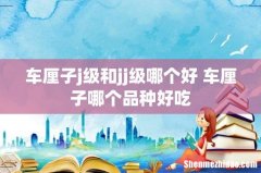 车厘子j级和jj级哪个好 车厘子哪个品种好吃