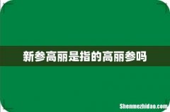 新参高丽是指的高丽参吗