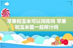 苹果和玉米可以同吃吗 苹果和玉米能一起榨汁吗