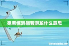 宛若惊鸿翩若游龙什么意思