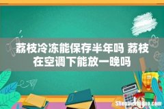 荔枝冷冻能保存半年吗 荔枝在空调下能放一晚吗