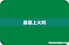 桑葚上火吗